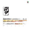 Mohammed Bin Zayed Car Hanging – Stylish UAE Inspired Accessory
