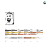 Sheikh Zayed Car Hanging – Elegant UAE Tribute
